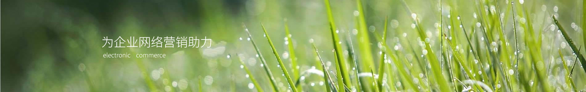 ݳϢƼ޹˾